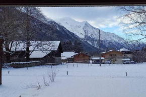Appartement avec Terrasse Chamonix-Mont-Blanc